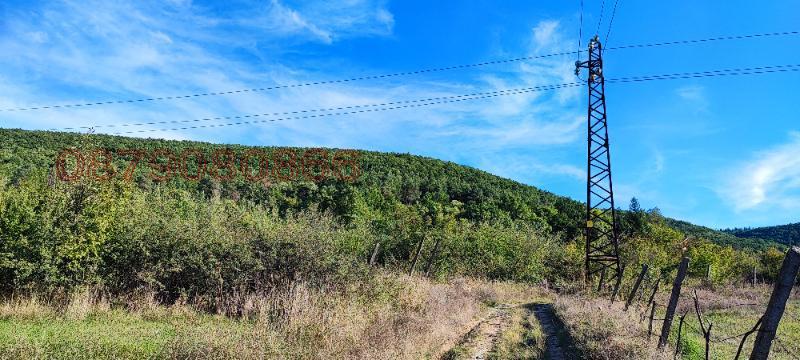 Til salg  Grund region Pazardzhik , Byaga , 3000 kvm | 64007492 - billede [12]