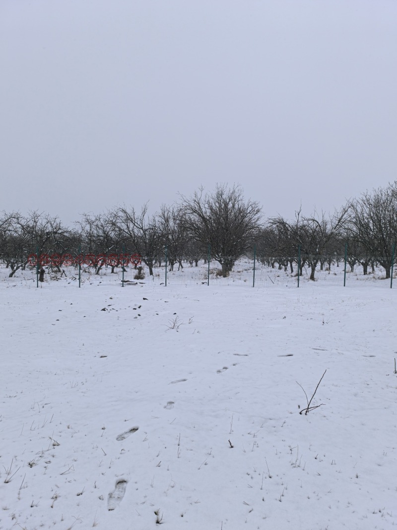 Zu verkaufen  Handlung Stara Zagora , m-t Besch Bunar , 1525 qm | 10137231 - Bild [9]