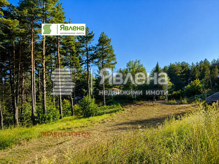 Продава ПАРЦЕЛ, в.з.Ярема, област София област, снимка 4 - Парцели - 55932107