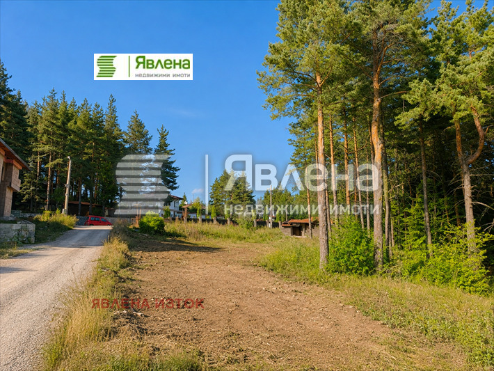 Продава ПАРЦЕЛ, в.з.Ярема, област София област, снимка 3 - Парцели - 55932107