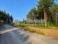 Продава ПАРЦЕЛ, в.з.Ярема, област София област, снимка 2