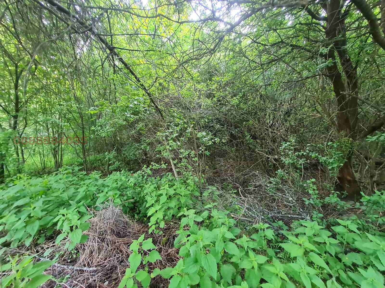 ������� ������ | Imot.bg � ����������� 10