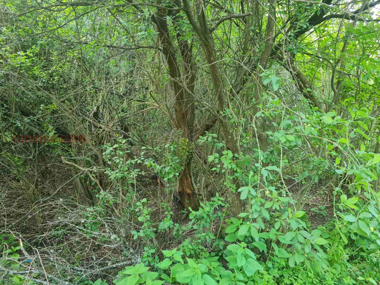 ������� ������ | Imot.bg � ����������� 13