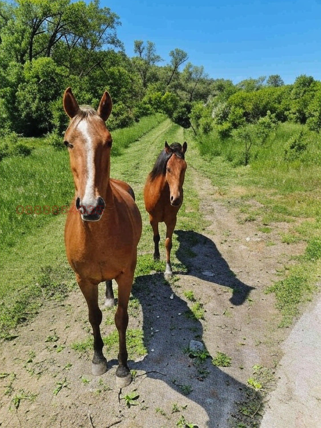 ������� ������ | Imot.bg � ����������� 2