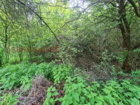 ������� ������ | Imot.bg � ����� ������ 10