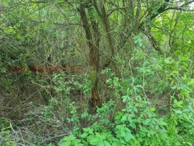 ������� ������ | Imot.bg � ����� ������ 13