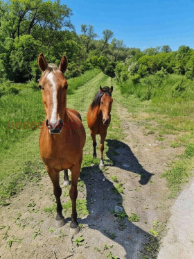 ������� ������ | Imot.bg � ����� ������ 2