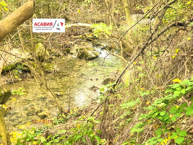 Продава КЪЩА, с. Казачево, област Ловеч, снимка 3 - Къщи - 52238132