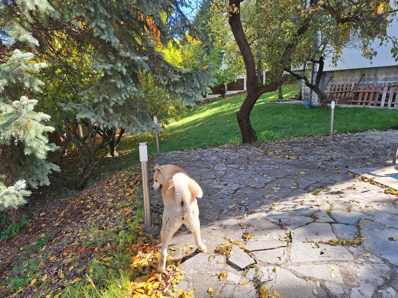 Продава КЪЩА, гр. София, Драгалевци, снимка 3 - Къщи - 52553612