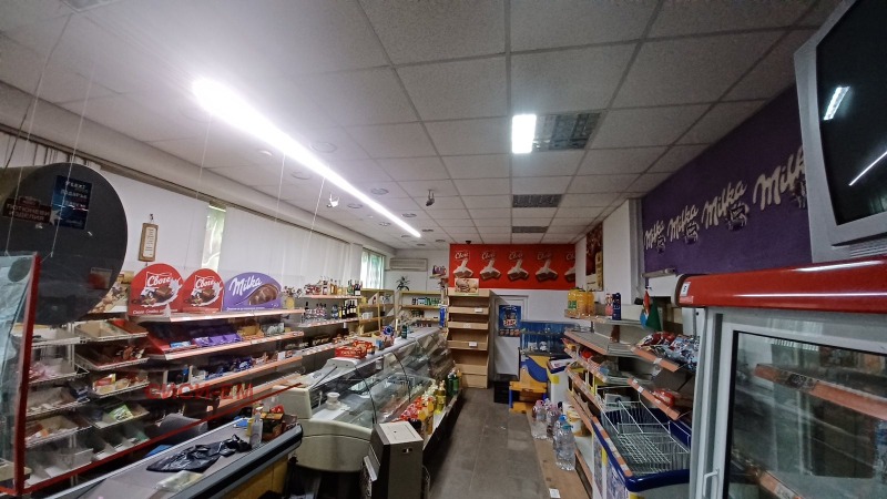 Продава  Магазин град Добрич , Балик , 100 кв.м | 48325969 - изображение [4]