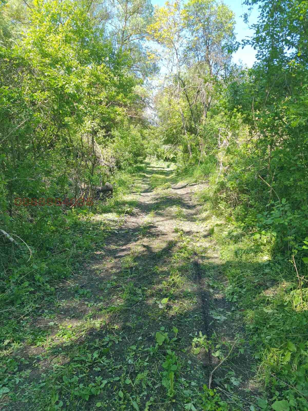 Продава ПАРЦЕЛ, с. Гоз, област Перник, снимка 10 - Парцели - 54193479