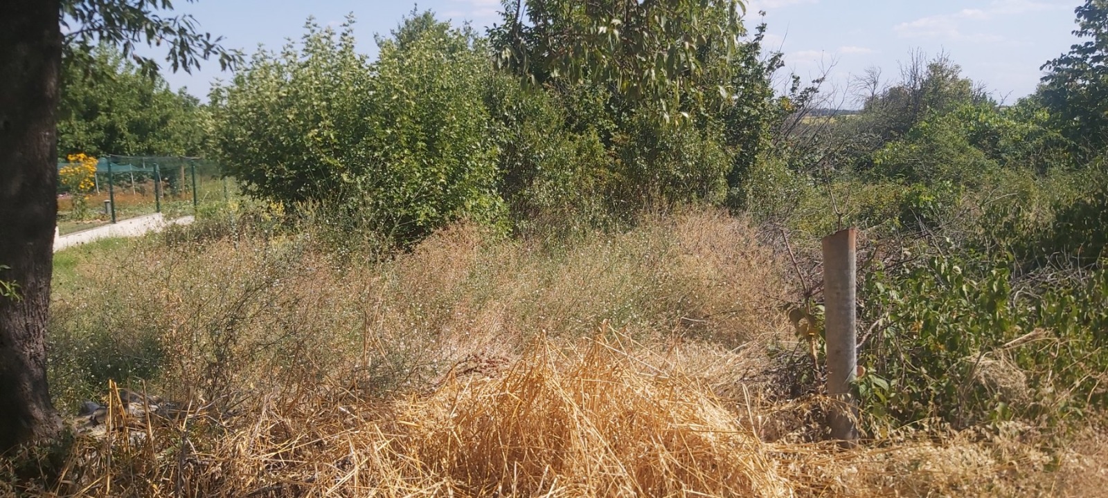 Продава ПАРЦЕЛ, гр. Плевен, Сторгозия, снимка 6 - Парцели - 55555979