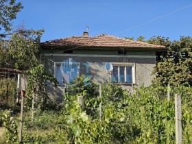 Hus Balgarsko Slivovo, region Veliko Tarnovo