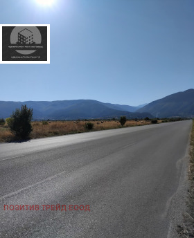 Плот Сапарева банја, регион Ћустендил