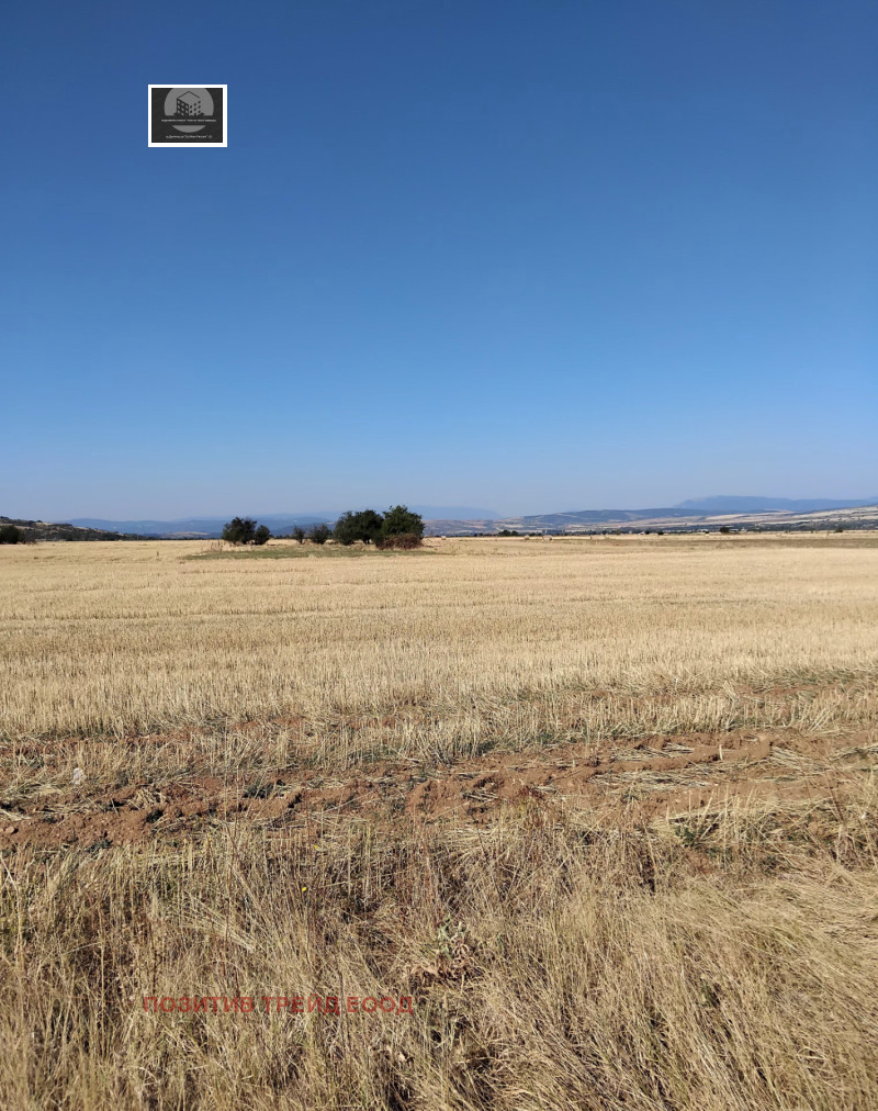 Продаја  Плот регион Ћустендил , Сапарева банја , 630 м2 | 16365949 - слика [2]