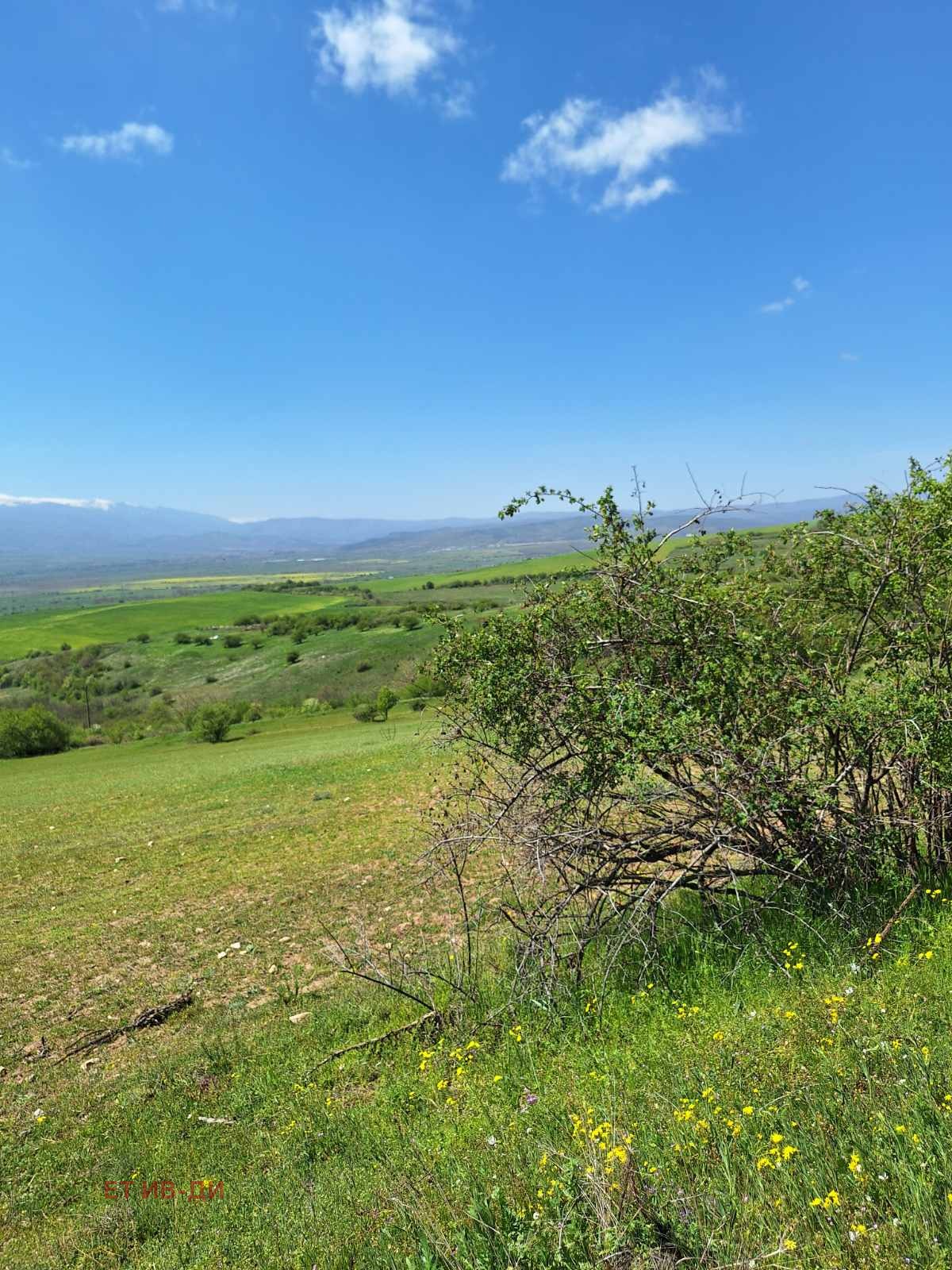 ������� ������ | Imot.bg � ����������� 4