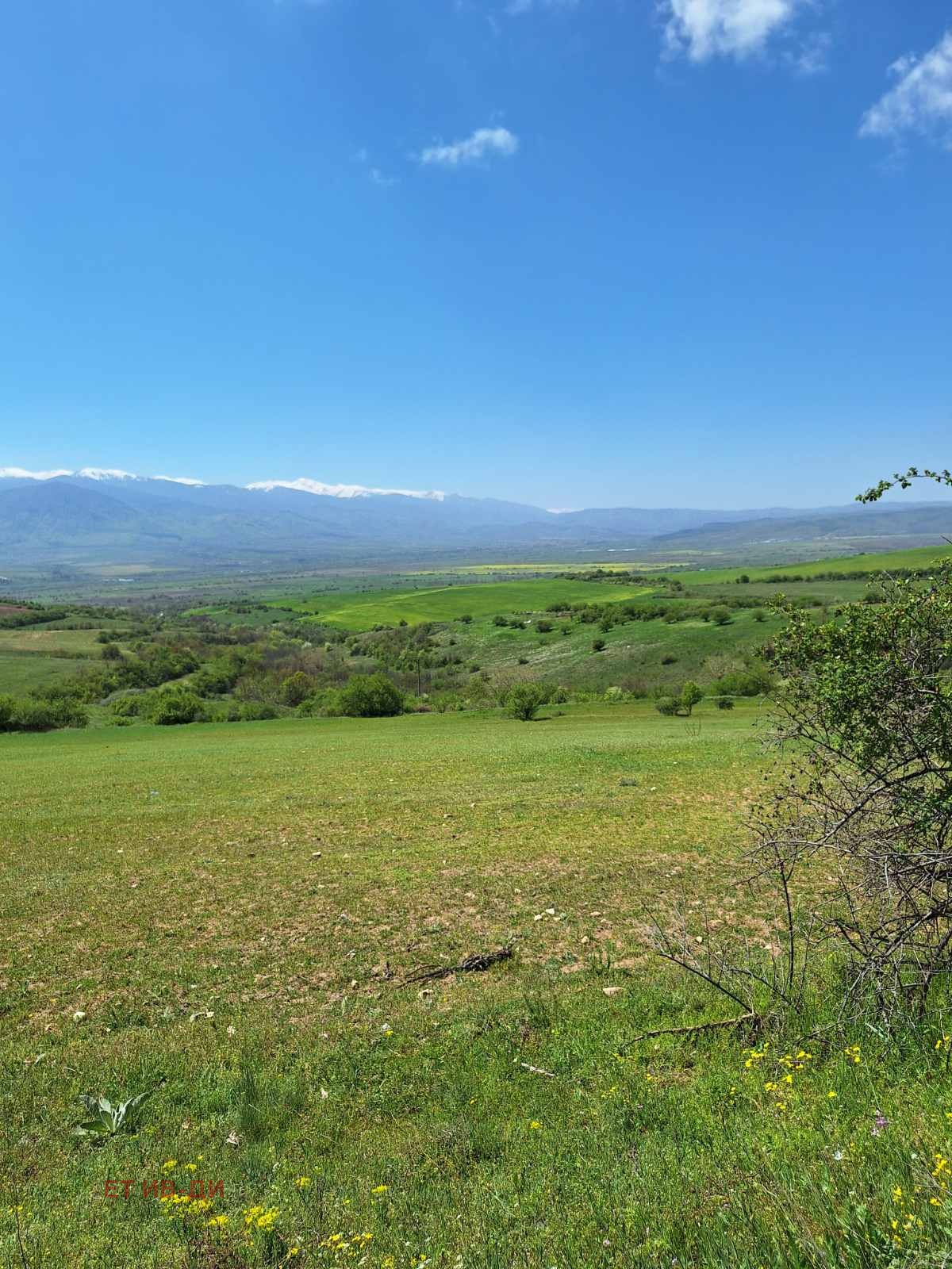 ������� ������ | Imot.bg � ����������� 1