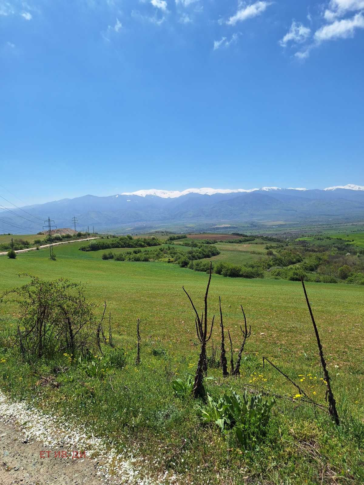 ������� ������ | Imot.bg � ����������� 8