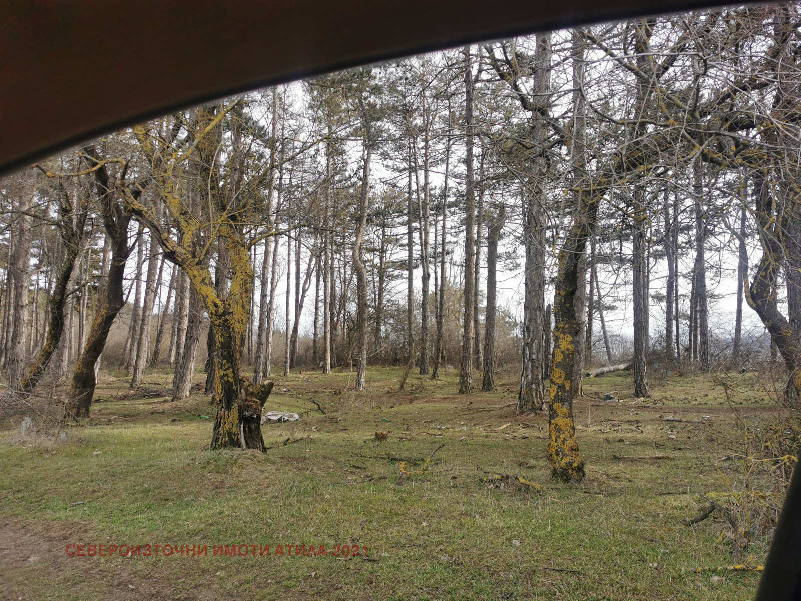 ������� ������ | Imot.bg � ����������� 5