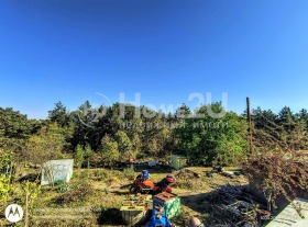   | Imot.bg    4