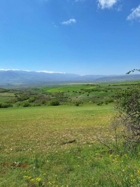 ����� ������� ������,�. ����� ��������, ������ �����