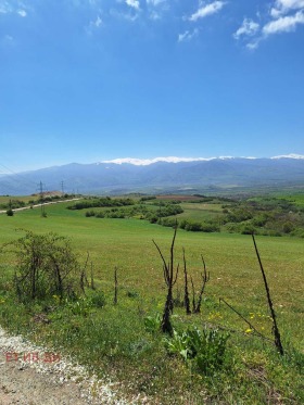 ������� ������ | Imot.bg � ����� ������ 8