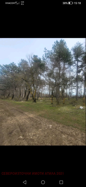 ������� ������ | Imot.bg � ����� ������ 15