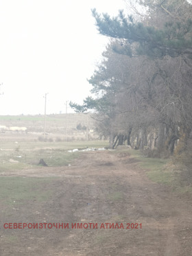 ������� ������ | Imot.bg � ����� ������ 8