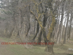 ������� ������ | Imot.bg � ����� ������ 7