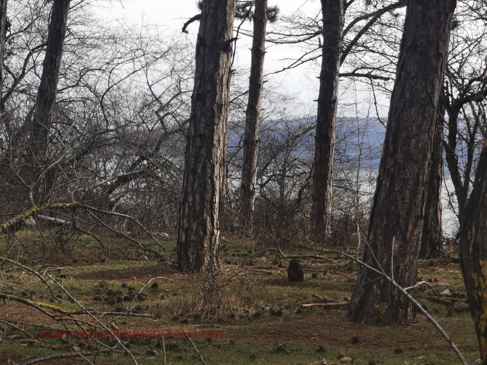 Продава ПАРЦЕЛ, гр. Варна, с. Каменар, снимка 5 - Парцели - 53210527