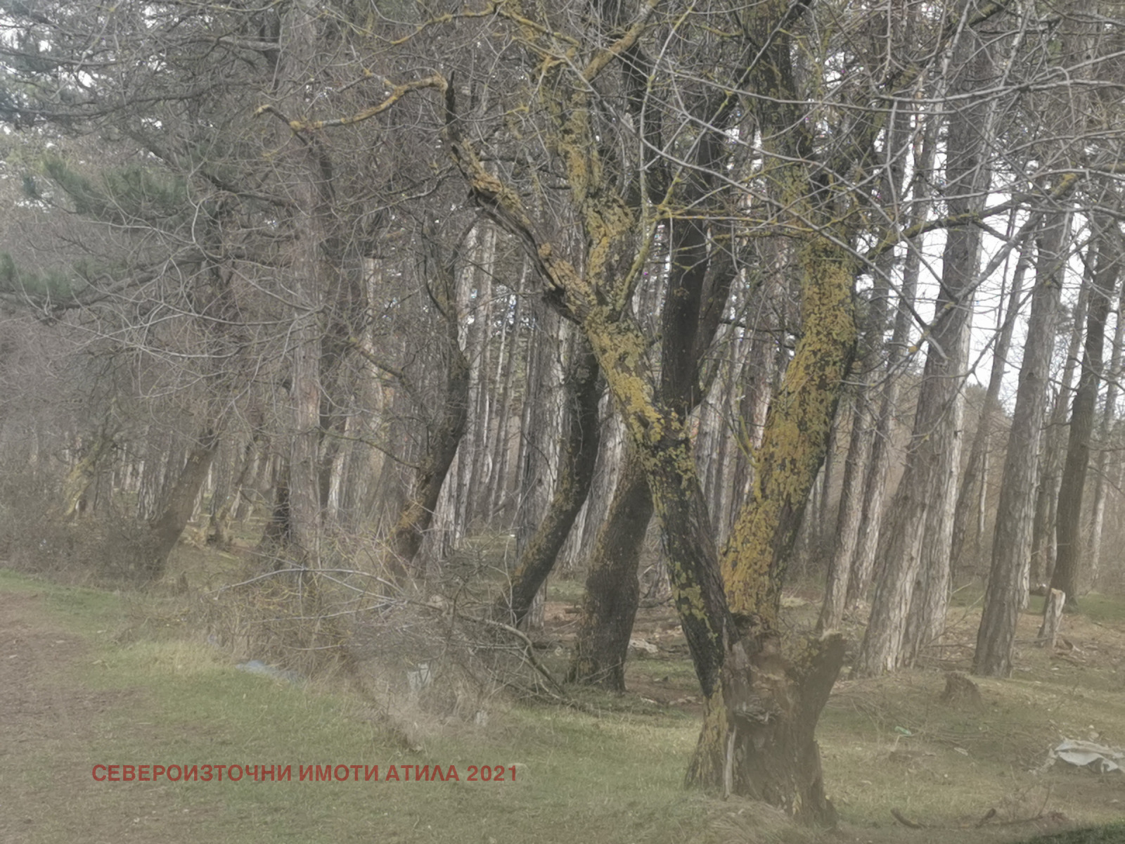 Продава ПАРЦЕЛ, гр. Варна, с. Каменар, снимка 6 - Парцели - 53210527