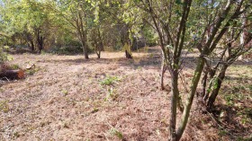 Plott Staroselets, region Varna
