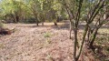 Продава ПАРЦЕЛ, област Варна, с. Староселец • 23900 € / 46744.34 лв. • 77580846 1