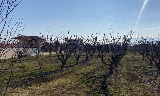 ������� ������ | Imot.bg � ����������� 1