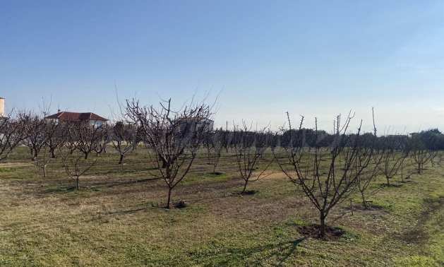 ������� ������ | Imot.bg � ����������� 16