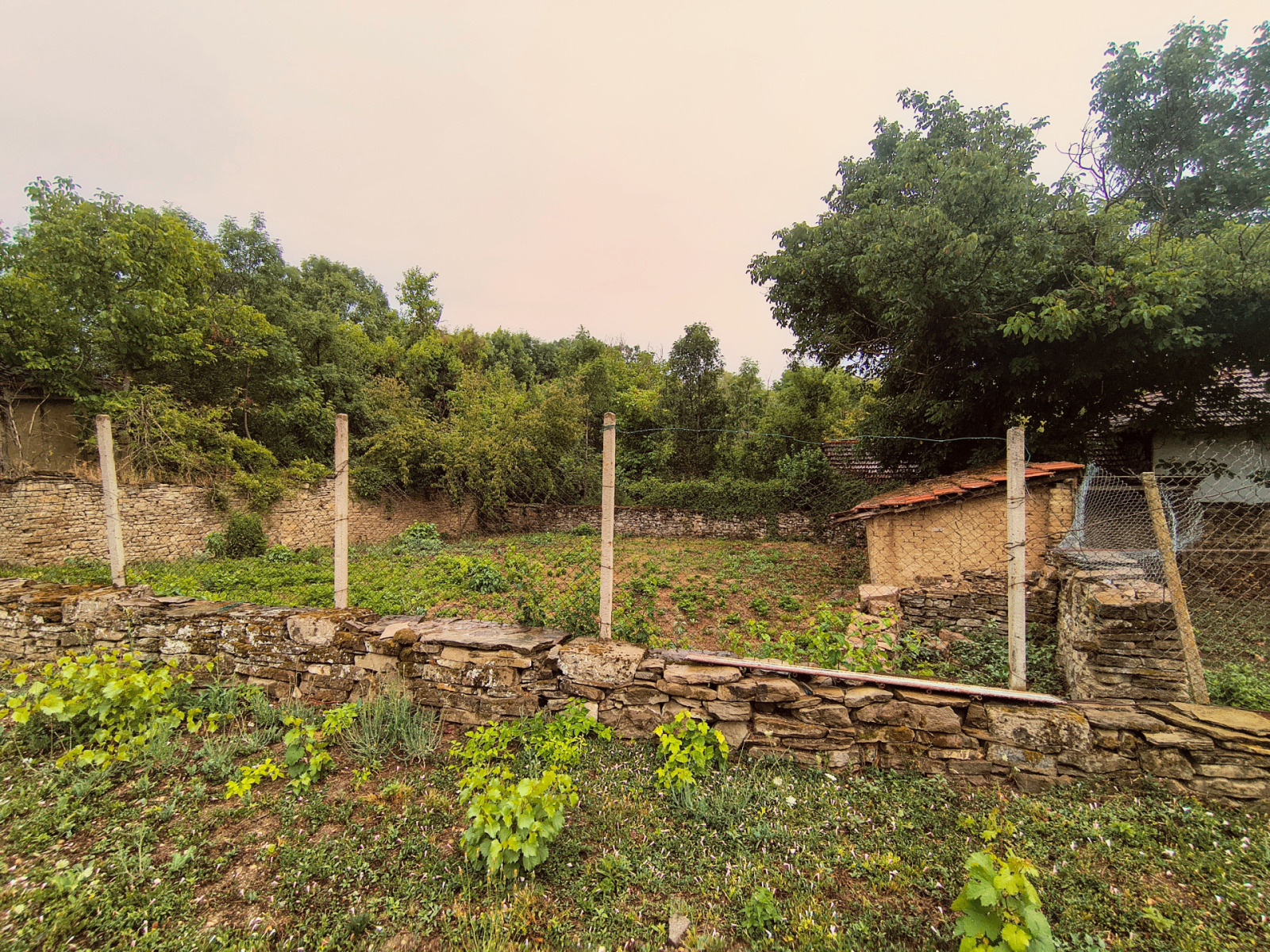 ������� ���� | Imot.bg � ����������� 8