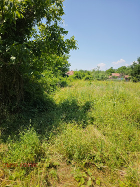 Парцел с. Върбица, област Велико Търново 3