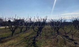 ������� ������ | Imot.bg � ����� ������ 2