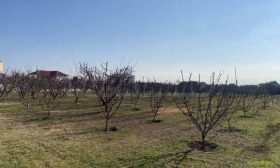 ������� ������ | Imot.bg � ����� ������ 16