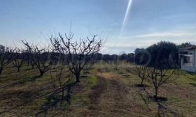 ������� ������ | Imot.bg � ����� ������ 14