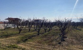 ������� ������ | Imot.bg � ����� ������ 17