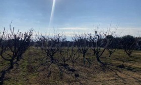 ������� ������ | Imot.bg � ����� ������ 4