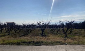 ������� ������ | Imot.bg � ����� ������ 10