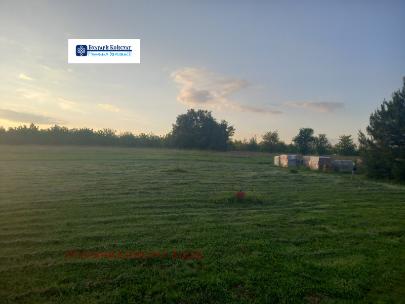 Na prodej  Spiknutí Kjustendil , v.z. Sever , 3000 m2 | 48177132 - obraz [17]