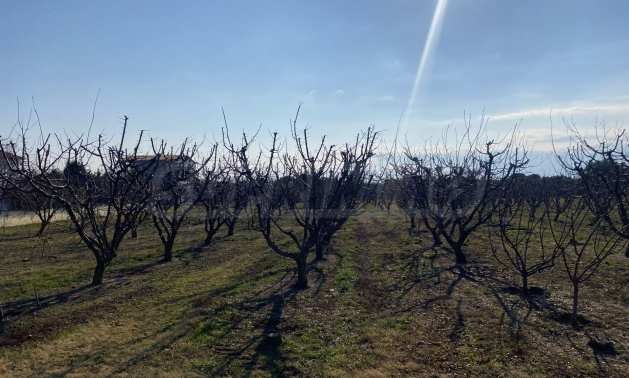 Продава ПАРЦЕЛ, Извън страната, област Извън страната, снимка 2 - Парцели - 54846377
