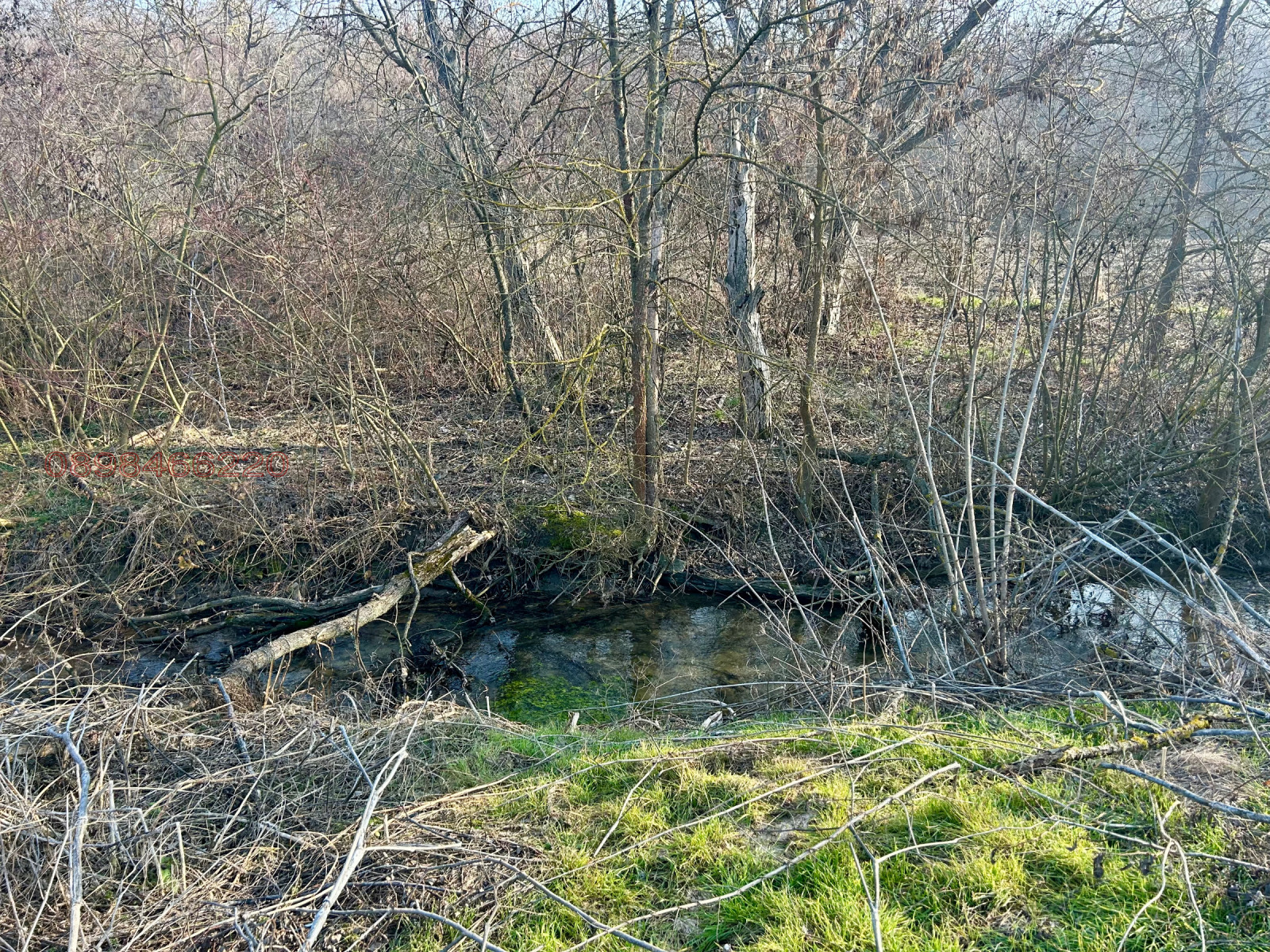 Продава ПРОМ. ПОМЕЩЕНИЕ, с. Обнова, област Плевен, снимка 5 - Производствени сгради - 53991875