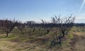 Продава ПАРЦЕЛ, Извън страната, област Извън страната, снимка 13