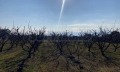Продава ПАРЦЕЛ, Извън страната, област Извън страната, снимка 9