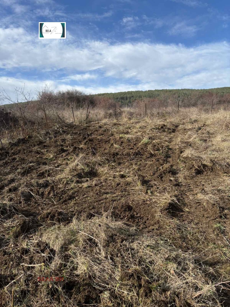 Продава ПАРЦЕЛ, с. Горна Диканя, област Перник