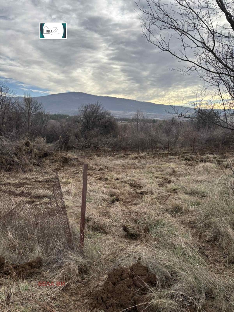 Продава ПАРЦЕЛ, с. Горна Диканя, област Перник, снимка 5 - Парцели - 53173886